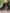 8e2d24b3cce14beb9f8a916c98921cf6-Max-Origin