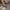 8e6707f7-1084-44e7-8095-43255e76922c-Max-Origin