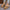 8fde5875c7ec4ed0b2ec56f07ac581f5-Max-Origin