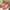 8fe45b86-6840-4e59-bd3e-16c31265af03-Max