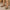 903d845431ec447e87f3e6e2cb067f06-Max-Origin