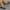 90a7dc282f9e4702b869c6c9151b5b36-Max-Origin