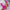 9101ee5f-7174-4496-995d-61f08c4d044d-Max-Origin