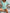 9225ff88414d42dda4734c97cf1d8af1-Max-Origin