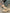 92499e9014c542e2bef92679c70e71a3-Max-Origin