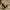 92b5e80f7a3b47109b23ce5ae4c6feb1-Max-Origin