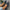 93d570bd-8282-4ce5-b0c6-e9f598699438-Max