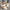 9416ca44-eff3-4341-816f-43575127d69e-Max-Origin
