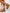 944003bd632e417b94da01369202a6f2-Max-Origin