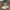 94f9479b4e1a4ce68213af7f624d249d-Max-Origin