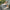 9524b2d8-a1d1-431f-969d-4777d4e91f83-Max