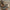 957cff5d-33c7-41b5-b612-58225b742718-Max