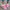96d5af05-5941-41fe-8cce-0887a7901ac2-Max-Origin