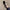 982d578d42dc4e0f87e66cb976f96e38-Max-Origin