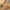 98b66a27d5404db8be096ce5e5488f50-Max-Origin