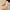 993f1406-5aca-4cc7-9e32-359fd28582b1-Max