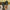 99e02ec4-cfed-47fc-88d5-bb76448718f3-Max-Origin