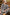 9a37e6bc-a8b4-45f7-b08e-233a9b5fb4d7-Max-Origin