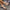9a734582fd5e483e9e0836ce08578848-Max-Origin