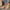 9a8c1cf0-e07c-4ad0-a734-5fb4331c1cde-Max-Origin
