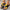 9aa84704-3100-4825-8fae-6bcad48d62a6-Max