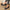 9bc2f44f9d054384a1798b3f14cf9a2a-Max