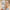 9c0f2133896c4445b4255131a7df9a2c-Max-Origin