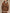 9d02b196-57bf-421a-af11-74b95f51beb1-Max-Origin