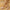 9e0ea810-2b3a-4c4c-8b31-1536815a852a-Max-Origin