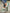 9f5d955d-7769-4bf8-911c-c5e37ce00879-Max-Origin