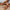 9fdace7b537a444bb638709f222a6114-Max-Origin