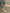 9fe52f451ab245d081425fc70d87897f-Max-Origin