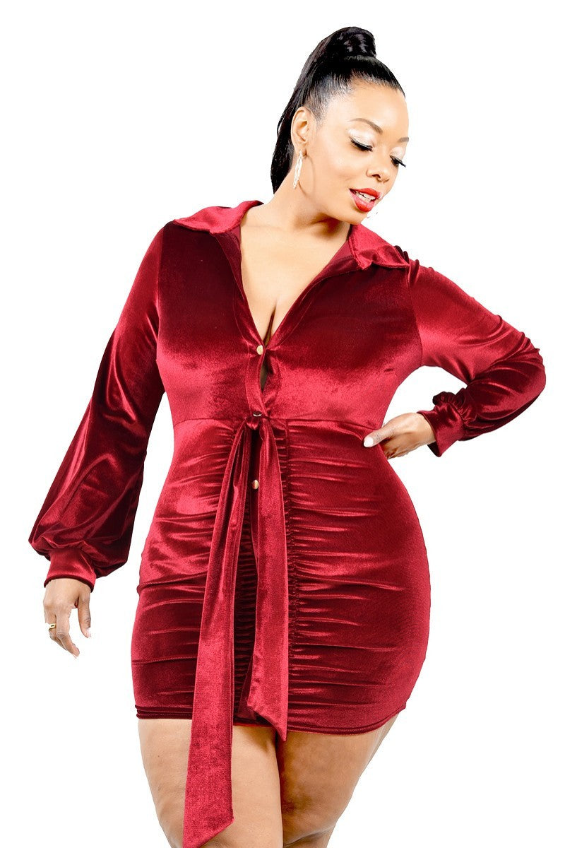 Burgundy Plus Velvet Bishop Sleeve Mini Dress