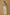 Threaded Twisted Rope Knot Tie Jumpsuit - White