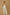 Threaded Twisted Rope Knot Tie Jumpsuit - White