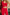 Half Sleeve Two Piece Sets - Red