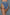 Blue Tie Me Up Shorts