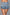 Buckled Down Denim Shorts
