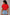 Micro Mesh Mexico Print Crop Top - Style 2