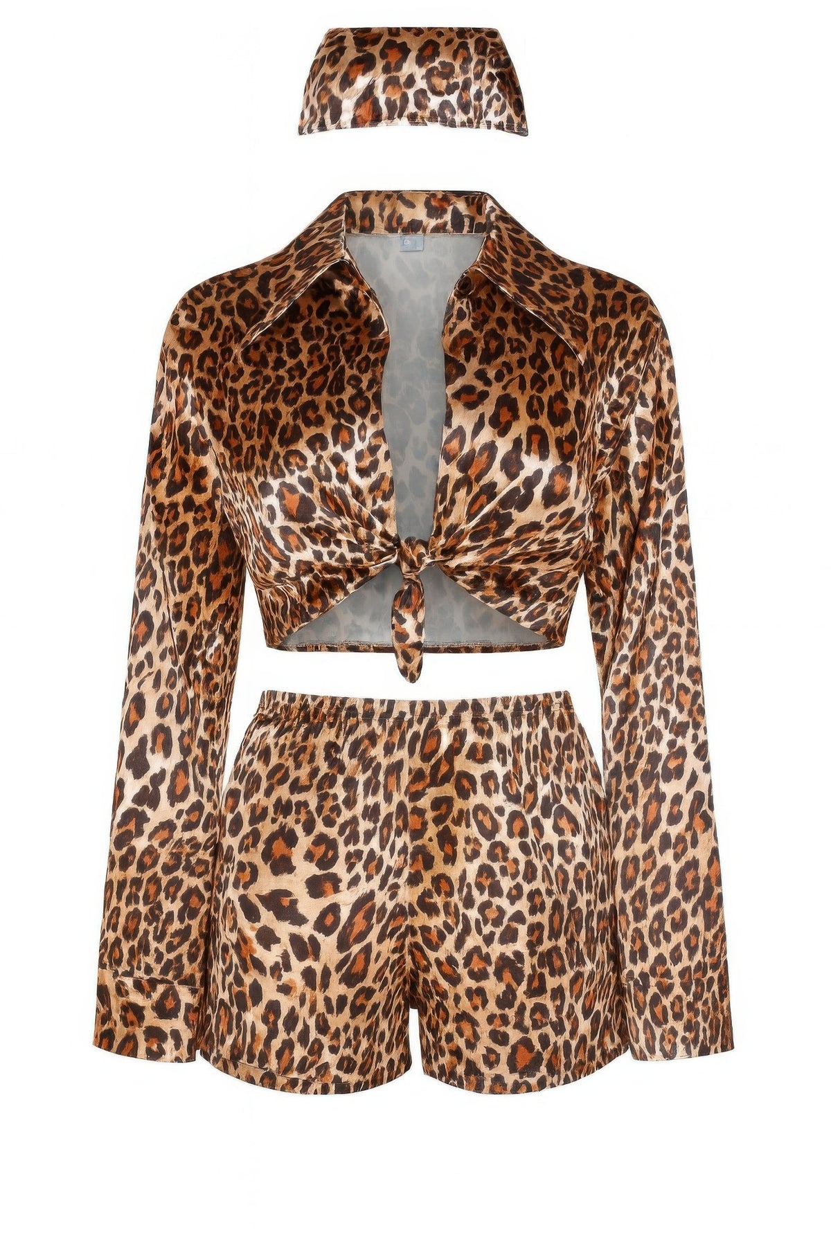 Leopard Print Two Piece Set in Brown