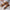 a33f5c00ad76450f8f422ae9145820cb-Max-Origin