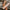 a382d86e360349b1b72a271c25050c79-Max-Origin