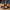 a395c0d3-b0dc-4820-9d24-1a118c514630-Max-Origin