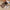 a430c6b8155549129024299cd43a9e97-Max-Origin