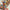 a48fd079-1d4e-4dd0-8cf5-45f91384c070-Max-Origin