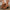 a4a0192aa1ee47379d319ba5f8f214d9-Max