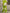 a4bf67980c364f238f967d4a2757c3b5-Max-Origin