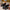 a55df719-625c-4ebc-bba6-99874e5412af-Max-Origin
