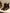 a699b842-f77c-41db-a031-76eba064fed7-Max