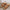 a6dd4c6c-a37b-461e-8f6d-c152818a5eb6-Max
